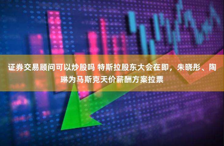 证券交易顾问可以炒股吗 特斯拉股东大会在即，朱晓彤、陶琳为马斯克天价薪酬方案拉票