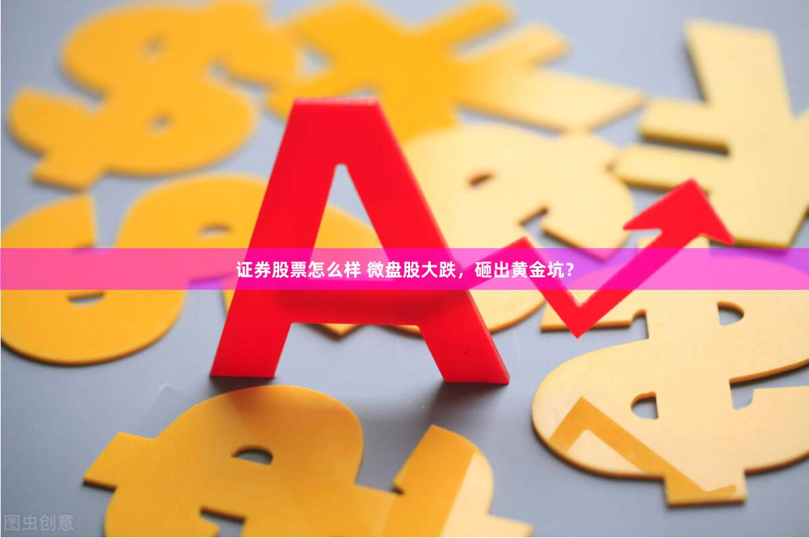 证券股票怎么样 微盘股大跌，砸出黄金坑？