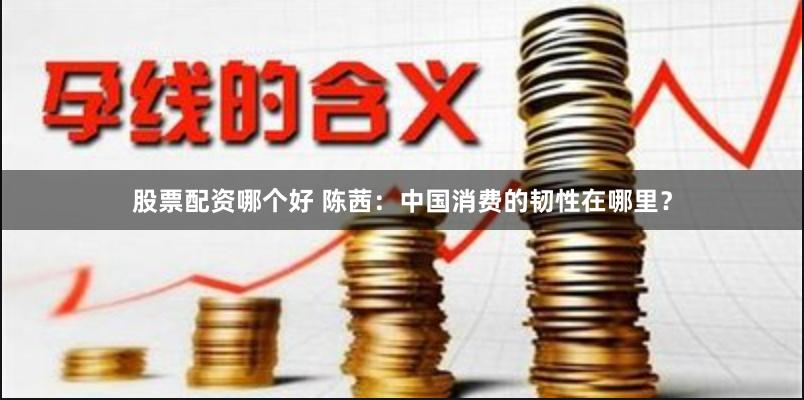 股票配资哪个好 陈茜：中国消费的韧性在哪里？