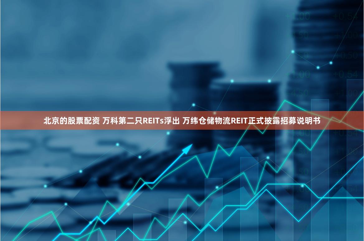 北京的股票配资 万科第二只REITs浮出 万纬仓储物流REIT正式披露招募说明书