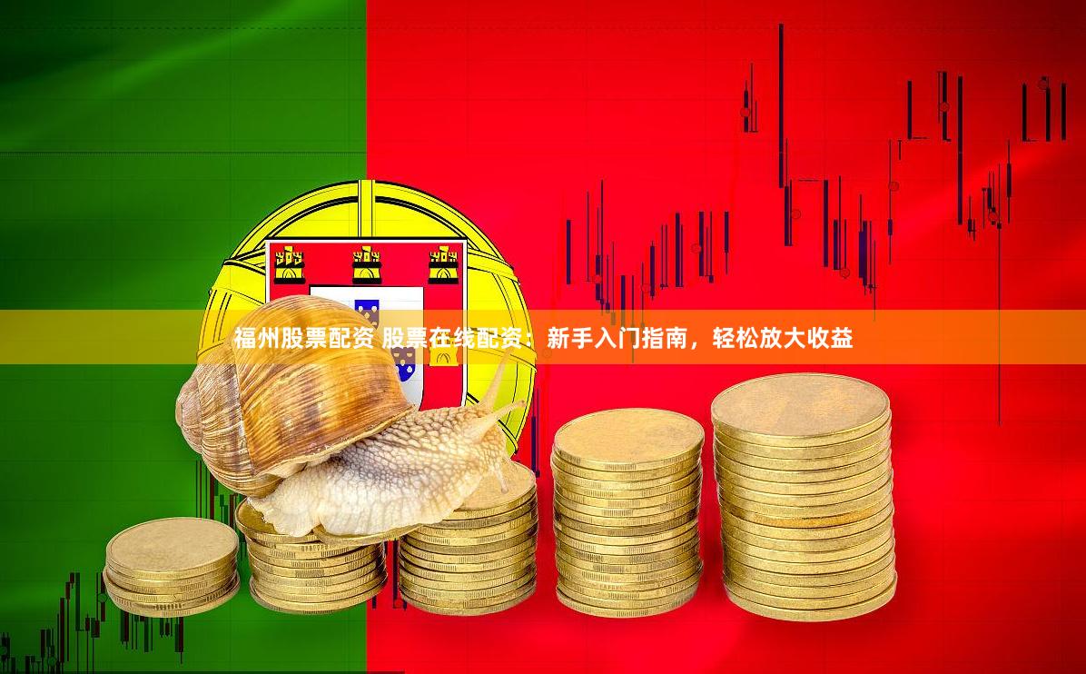 福州股票配资 股票在线配资：新手入门指南，轻松放大收益