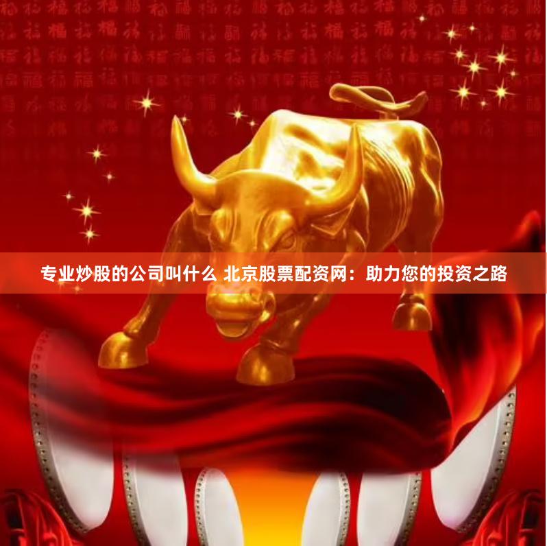专业炒股的公司叫什么 北京股票配资网：助力您的投资之路